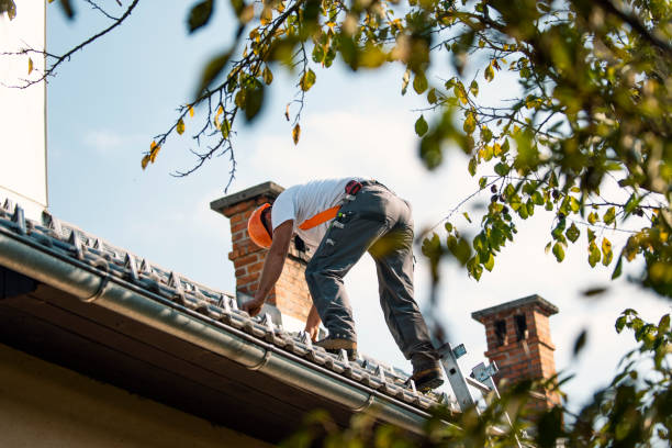 Best Roof Gutter Cleaning  in Bliss Corner, MA